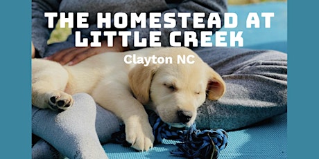 Imagem principal do evento Puppy Yoga @ The Homestead at Little Creek