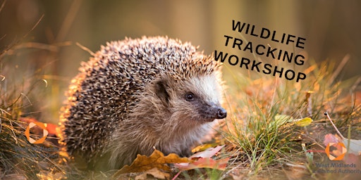 Wildlife Tracking Workshop primary image