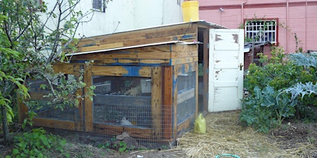 Chicken Coop Tour primary image