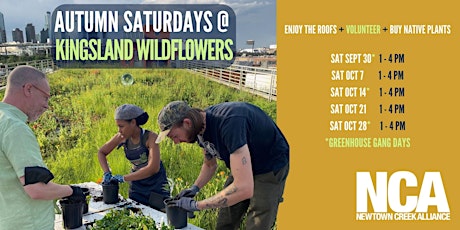 Autumn Saturdays at Kingsland Wildflowers primary image