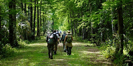 Guided Hike the Loop: CREW Bird Rookery Swamp Trails (12 Miles)  primärbild