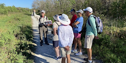 Guided Walk: CREW Bird Rookery Swamp (Wednesday)