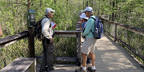 Guided Walk: CREW Bird Rookery Swamp (Saturday)