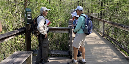 Hauptbild für Guided Walk: CREW Bird Rookery Swamp (Saturday)