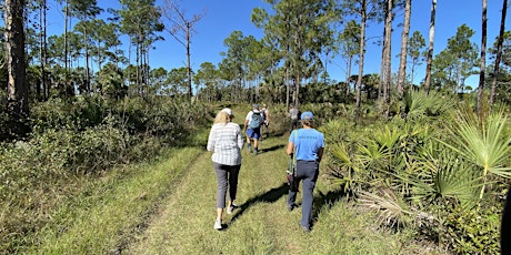 Hauptbild für Guided Walk: CREW Cypress Dome Trails (Green Trail)