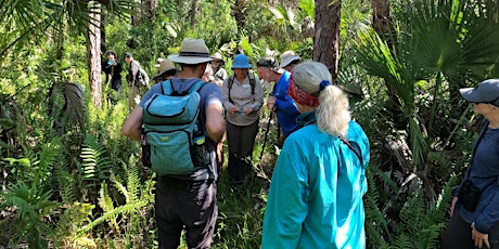Guided Walk: CREW Cypress Dome Trails (White Trail) primary image