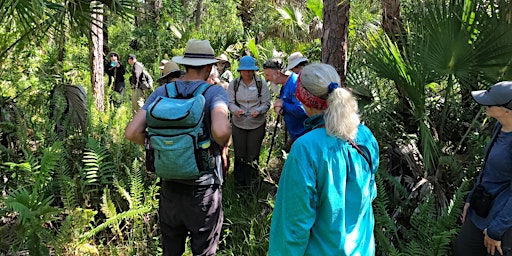 Primaire afbeelding van Guided Walk: CREW Cypress Dome Trails (White Trail)