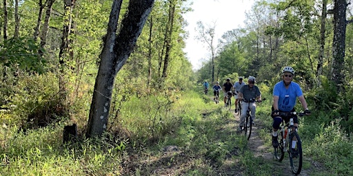 Imagem principal de Guided Bike Ride: CREW Bird Rookery Swamp Trails (12 Miles)