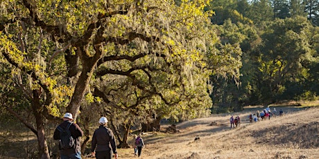 Imagem principal do evento Fall Colors at Live Oaks Ranch 10-8-23