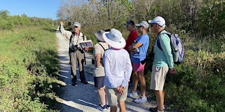 Guided Walk: CREW Bird Rookery Swamp (Sunday) primary image