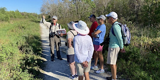 Guided Walk: CREW Bird Rookery Swamp (Sunday)  primärbild