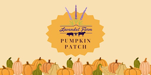 Image principale de Lavendel Farm Pumpkin Patch