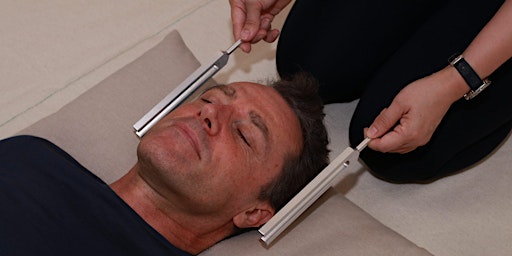 Tuning Forks Mastery Training Course primary image