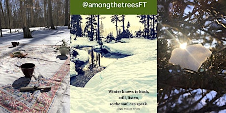 Image principale de Winter Solstice Forest Therapy Journey