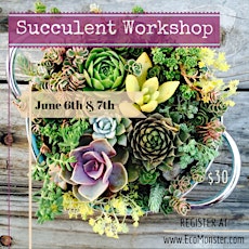 Succulent Workshop with EcoMonster primary image