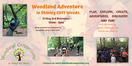 Woodland Adventure for Kids  in Shining Cliff Woods primary image