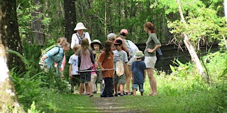 Guided Family Walk: CREW Marsh Trails (Yellow/Red) primary image