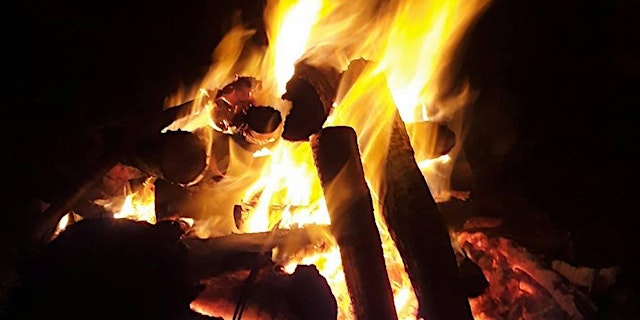 Primaire afbeelding van Evening Bushcraft for Beginners (16+)