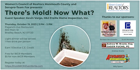 There's Mold! Now What?  primärbild