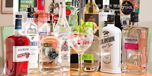 Imagem principal de Gin Therapy  - Fizzy Business , Gin Fizz Tasting.