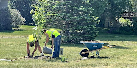 Hauptbild für Branch Managers Only - Tree Planting in South Minneapolis