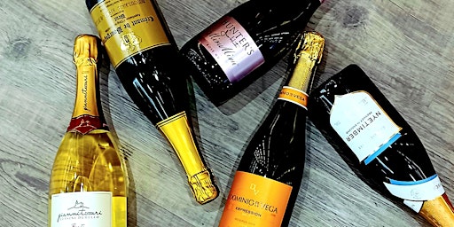 Sparkling Wines of the World primary image