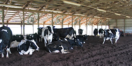 Bedded Pack Workshop with Dr. Marcia Endres at Stony Pond Farm, Fairfield primary image