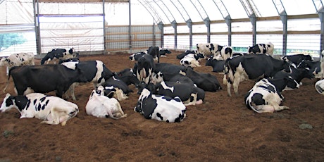 Hauptbild für Bedded Pack Workshop with Dr. Marcia Endres at Deer Flats Farm, West Pawlet