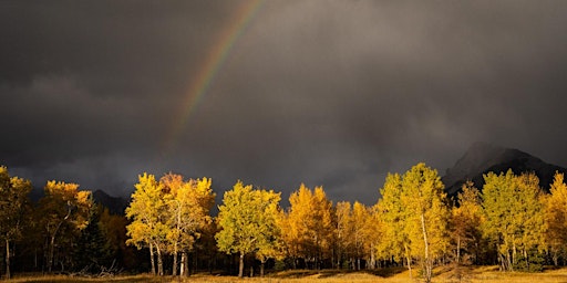 Image principale de Escape to Nature Rockies Photography Workshop 2024