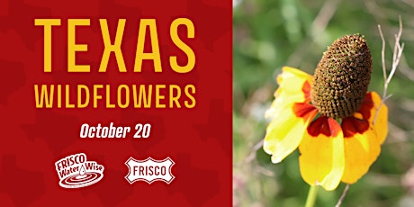 Image principale de Texas Wildflowers