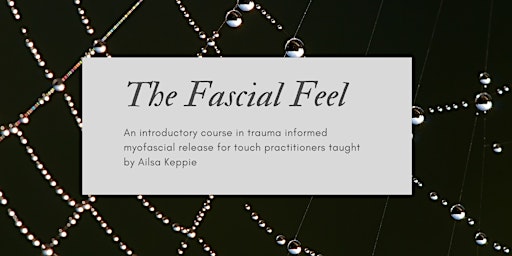 Primaire afbeelding van The Fascial Feel Course - in person
