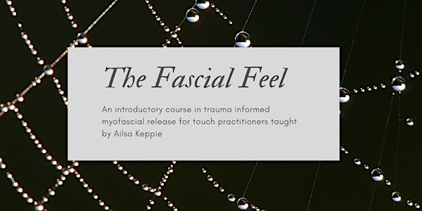 The Fascial Feel Course - in person