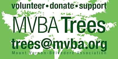 MVBA / MIDTOWN Tree Planting | 04 MAY 2024 primary image