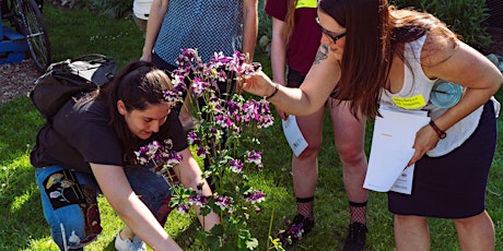 2019 Spring Celebration: Indigenizing school food systems and pedagogies primary image