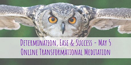 Determination, Ease & Success | Online Transformational Meditation 5 May primary image