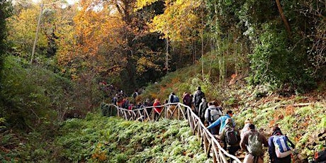 Hauptbild für apo-drasis.gr | 28,29/10/23  | Φαράγγι  Μύλων | Μυστράς  - Λαγκαδιώτισσα