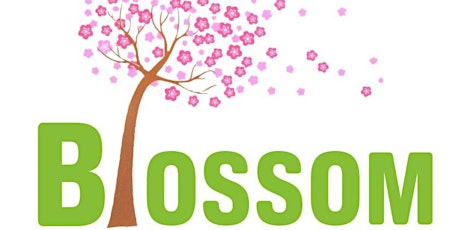 Blossom's young girls aged 13 to 16 years old drop in session