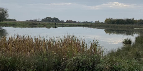 November Guided Heritage Walk: Bedfords Park and Havering Country Park primary image
