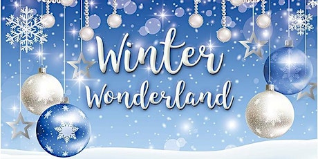 Imagen principal de Winter Wonderland Party, Social & Business Networking and Vendor Event