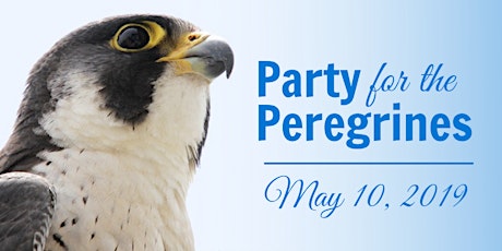 2019 Party for the Peregrines