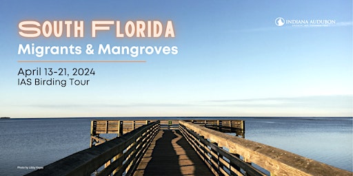 Imagen principal de South Florida: Migrants & Mangroves Tour