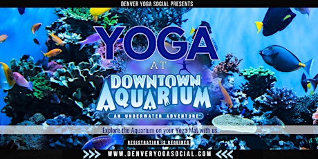 Yoga at the Downtown Aquarium in Denver w/ Denver Yoga Social - Mothers Day