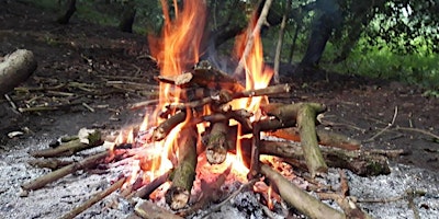 Primaire afbeelding van Family Bushcraft & Woodland Skills