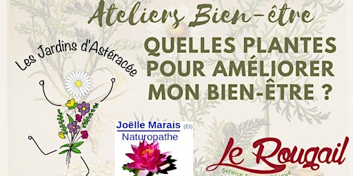 Ateliers Bien-être avec les plantes