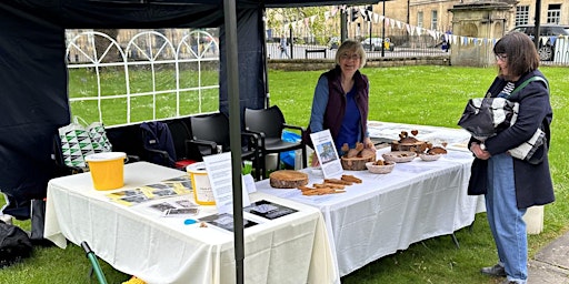 Hauptbild für The Friends of Sydney Gardens will be at the Holburne Museum Plant Sale