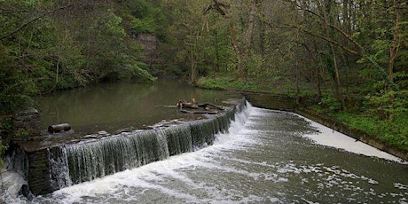 Foods of the Frome