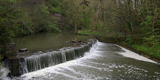 Hauptbild für Foods of the Frome