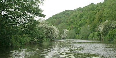 Immagine principale di Conham River Forage Course 