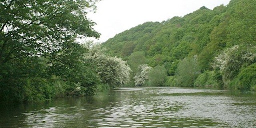 Immagine principale di Conham River Forage Course 