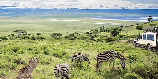 Primaire afbeelding van AFRICA  SAFARI | Zanzibar | Ngorongoro Crater | Serengeti National Park